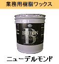 ニューデルモンド